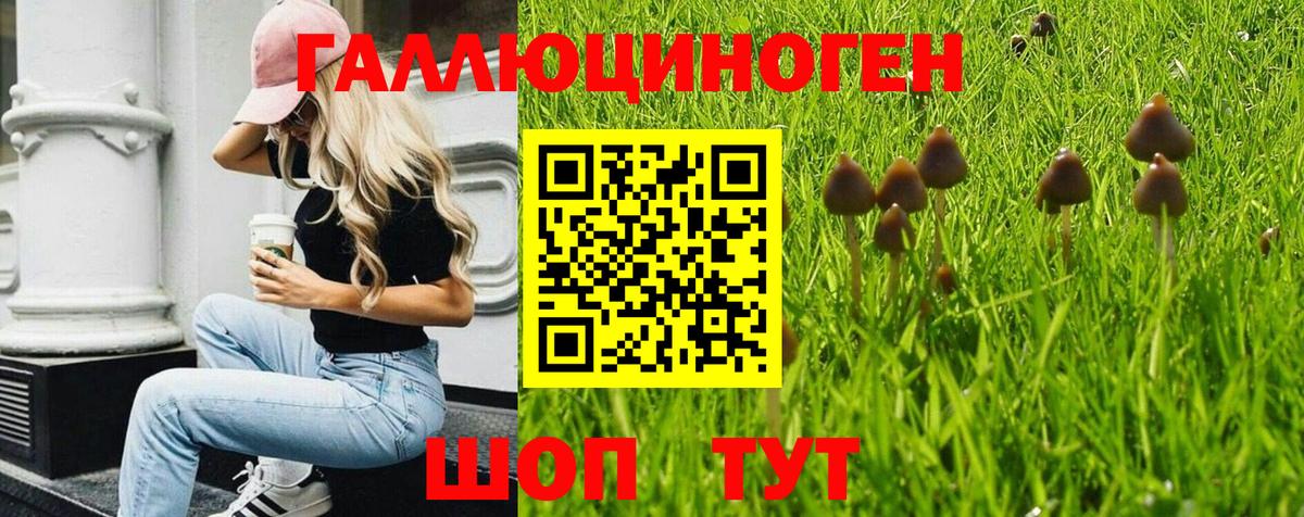 Галлюциногенные грибы прущие грибы Ахтубинск